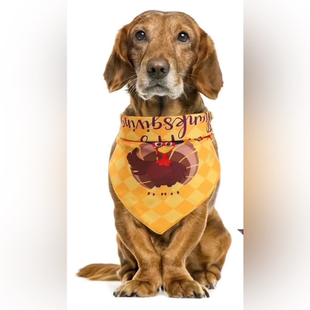 Give Your Dog a Festive Look This Thanksgiving with a Turkey Bandana
